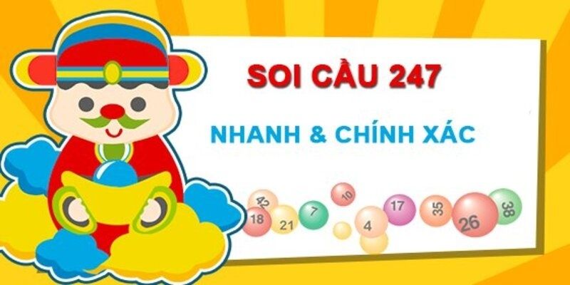 soi cau 247